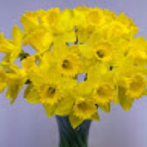 Meet your Posher, Meridith